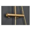 Columna Monomando Ducha Monza Oro Cepillado (Imex)