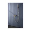 Monomando Ducha Monza Oro Cepillado (Imex)