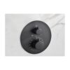 Termostatico Ducha Oculto Techo Monza Negro (Imex)
