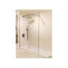 Panel Fijo Screen Gun Metal 6 (Bathroom Screens)