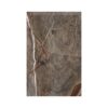 Plato Ducha Resina Rain Forest Brown 3D